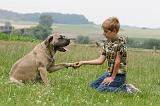 ENFANT ET CHIEN 440